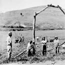 New Deal Nursery 
